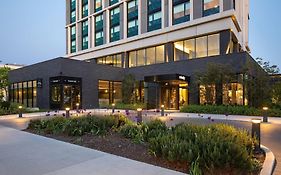 The Study At The University Of Chicago